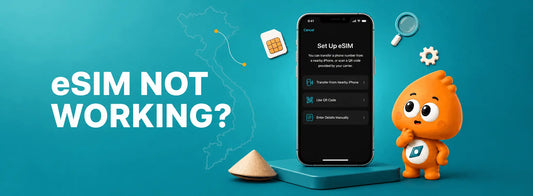 Vietnam eSIM Not Working? A Non-Destructive Setup and Network Checklist