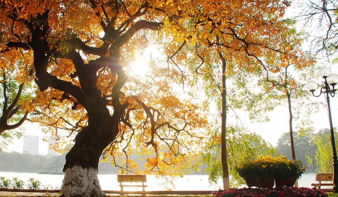 If I Only Had One Day in Hanoi: A Slow Travel Experience You’ll Never Forget