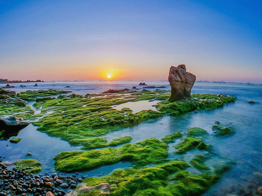 Beyond Mui Ne: Hidden Beaches, Coastal Road Trips - Underrated Places Around Vietnam’s Sand Dune Coast