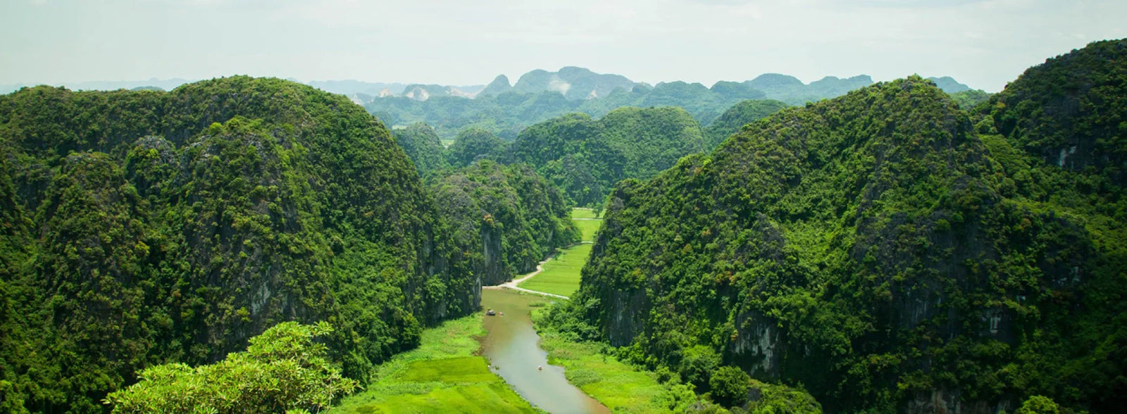Ninh Binh Travel Guide: Best Places to Visit, Things to Do & Local Tips