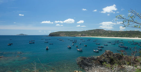 Why Phu Yen Became My Favorite Coastal Escape in Vietnam